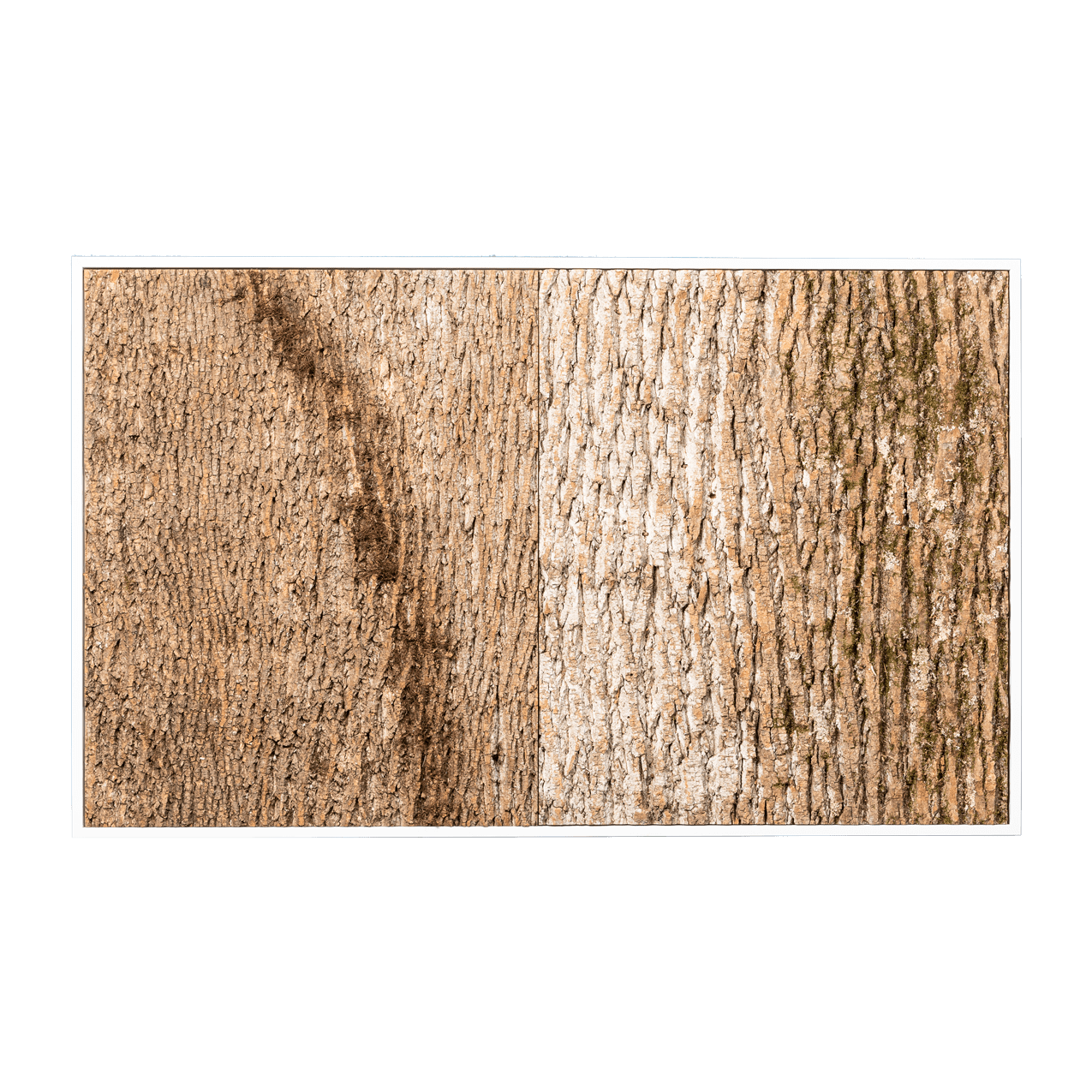 Pappelrinde | eckig