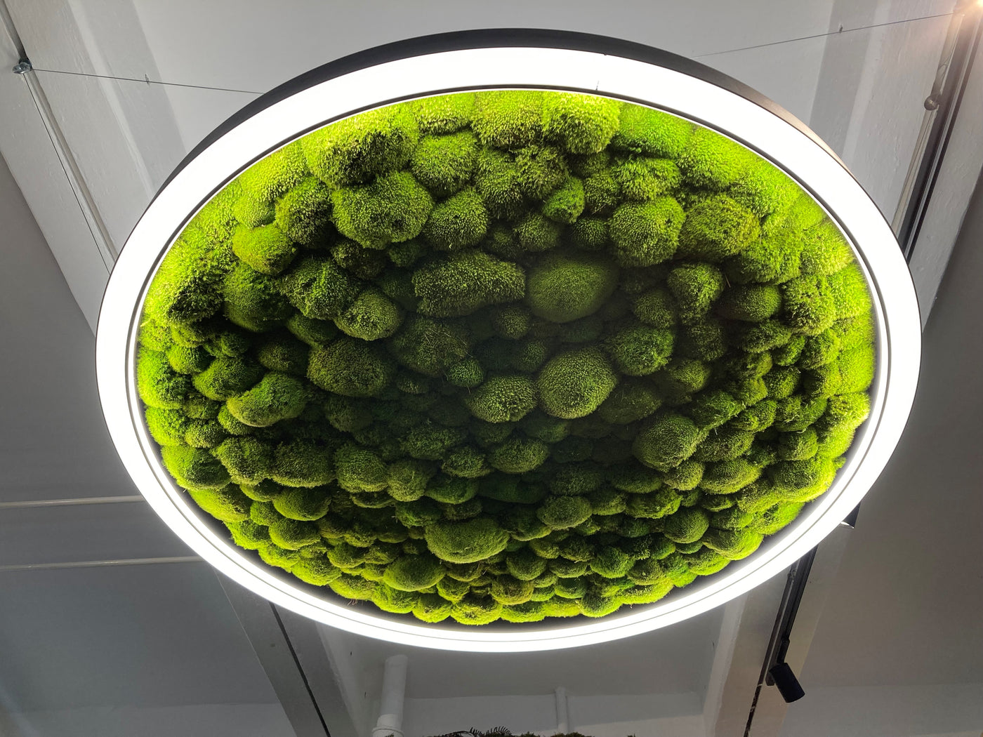 Greenhill Deckenleuchte