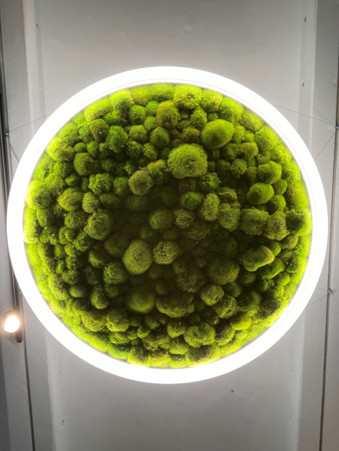 Greenhill Deckenleuchte