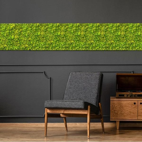 Islandmoosplatte für DIY-Projekte | Apfelgrün